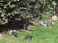 20130921_141941.jpg